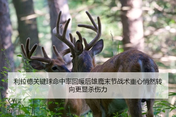 利拉德关键球命中率回暖后雄鹿末节战术重心悄然转向更显杀伤力